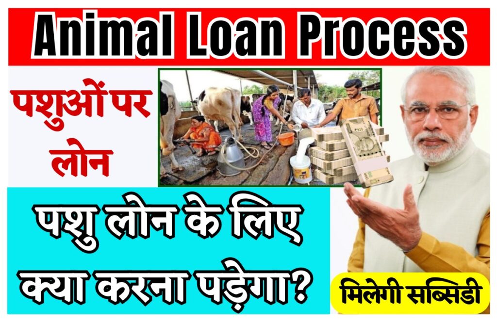 Animal Loan Process